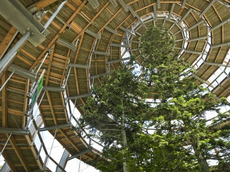 Ein interessantes Meisterwerk in seiner Konstruktion ist das Baumei im Bayerischen Wald als Ende des Waldwipfelpfades. In einer Spirale geht es in immer kleiner werdenden Kreisen nach oben bis zur Spitze.