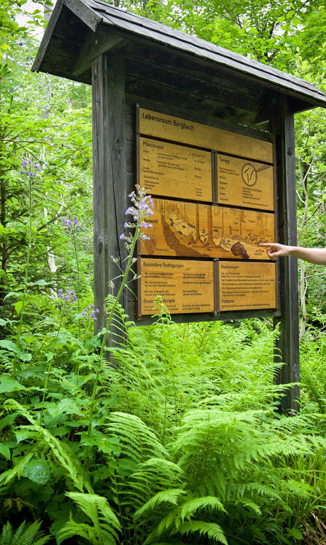 Zwei Besucher stehen vor einer Nationalparktafel und lesen die Info von 