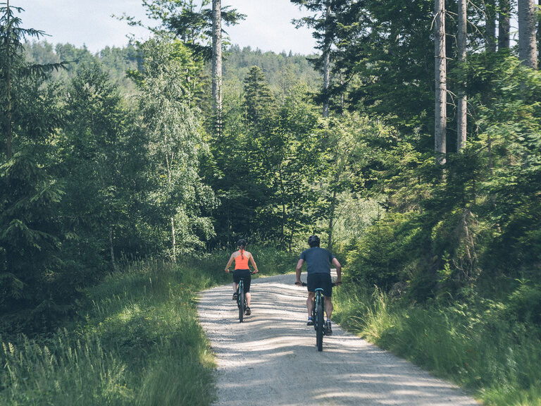 Gäste fahren auf einem Feldweg durch den Wald auf den E-Bikes des Hotel Eibl-Brunner.