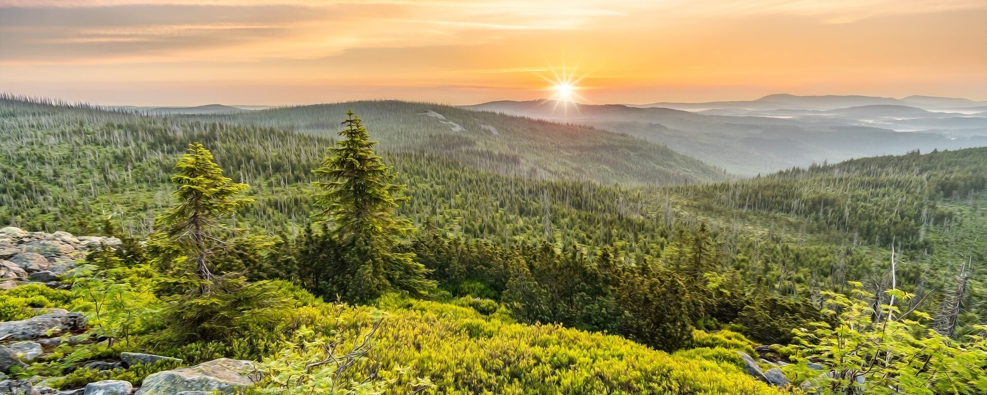 Ein Sonnenuntergang auf einem bewachsenen Berg im Bayerischen Wald, mit Blick Richtung Aplen.