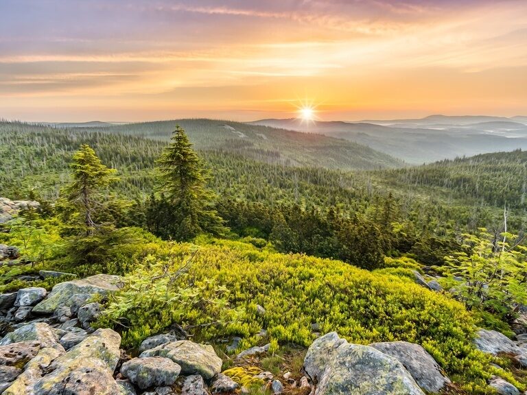 Ein Sonnenuntergang auf einem bewachsenen Berg im Bayerischen Wald, mit Blick Richtung Aplen.