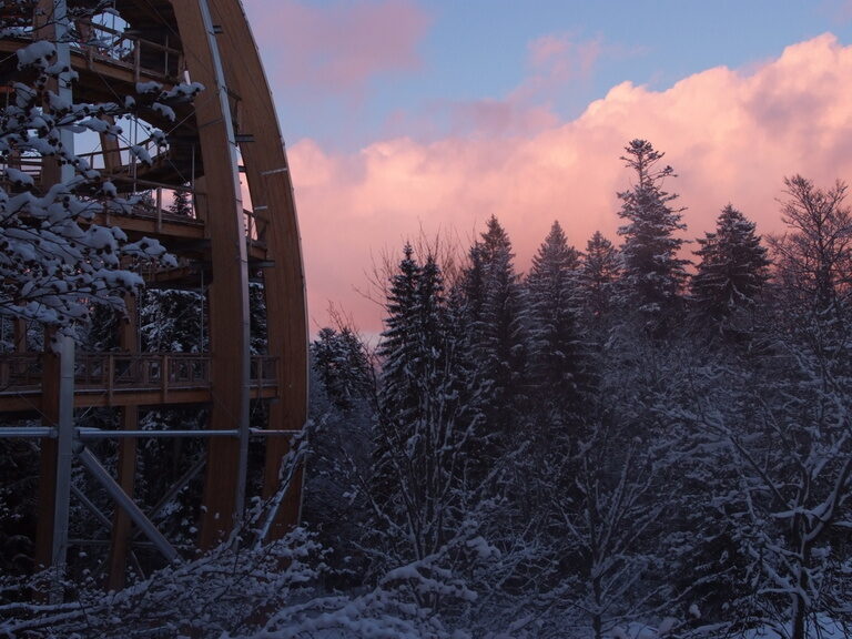 Weiss angezuckerte Baume umgeben das Baumei, das Ziel des Baumwipfelpfades bei einem rosa Sonnenuntergang im Nationalpark bayerischer Wald.