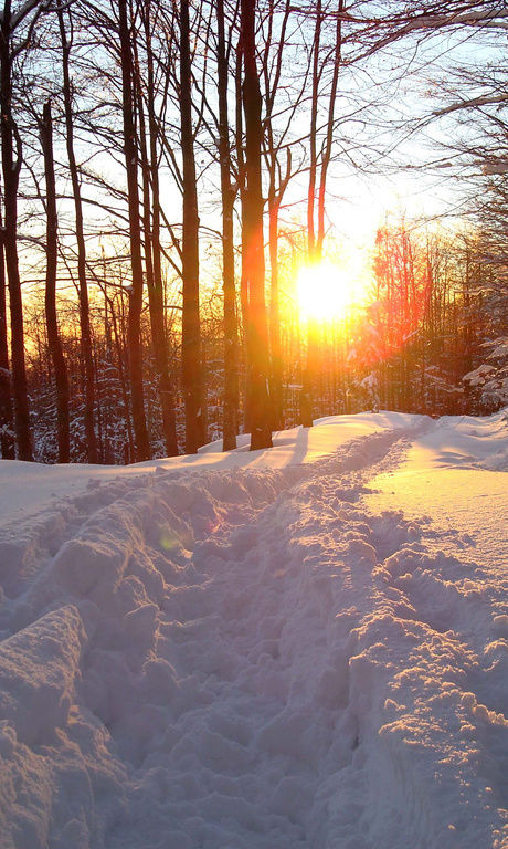 Sonnenuntergang auf einem Winterwanderweg durch den Bayerischen Wald.