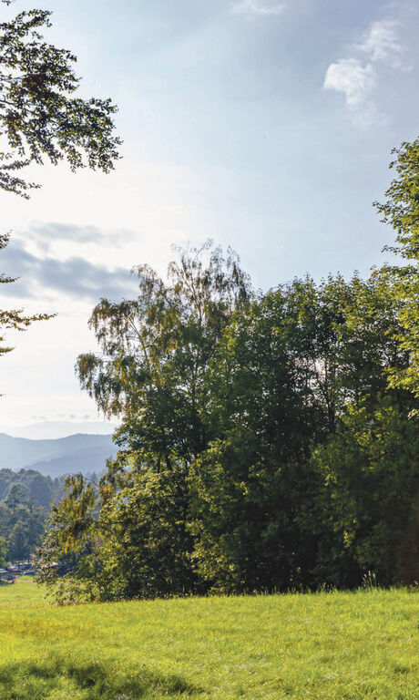 Landschaftsbild von Wiese und Bäumen zur Landesgartenschau in Freyung 2023.