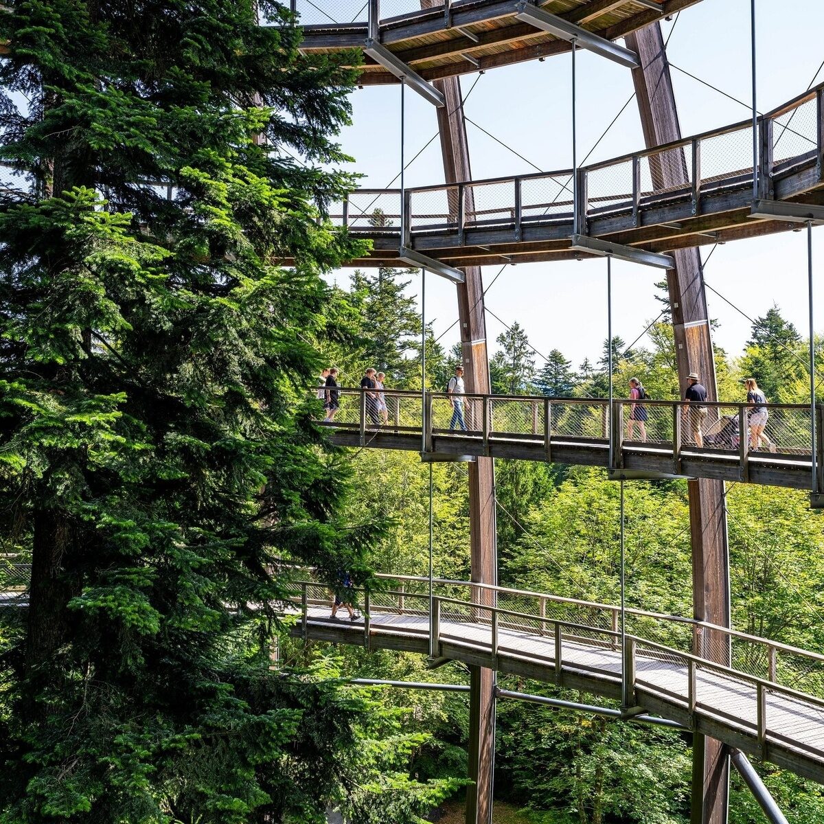 Nationalpark Bayerischer Wald