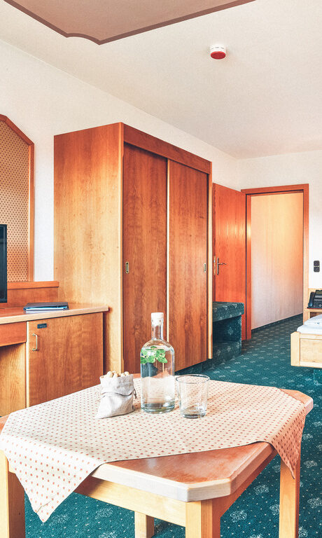 Gemütliches Einzelzimmer im Stammhaus des Hotel Eibl-Brunner, mit Couch und Fernseher.