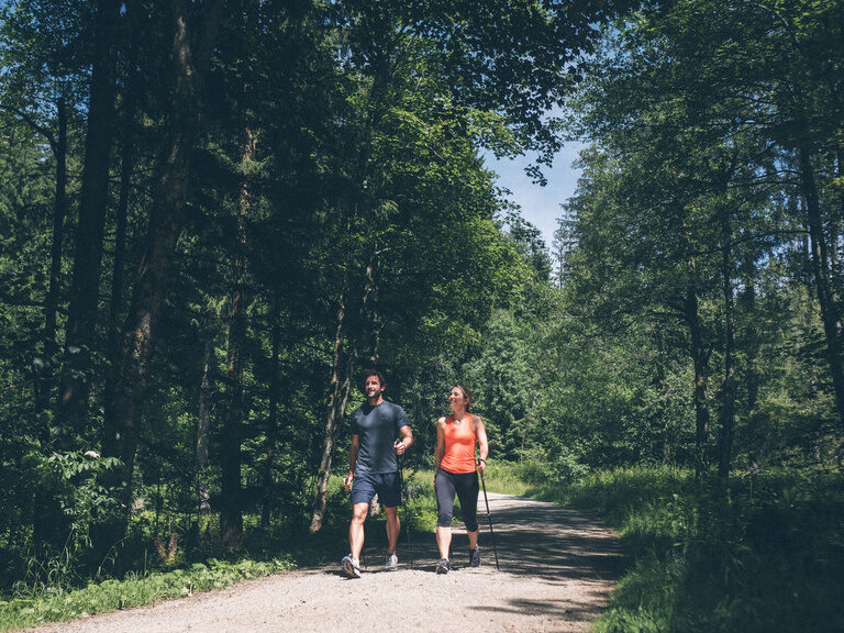Gäste bei einer Walkingrunde über die Wege im Wald in der Nähe des Hotel Eibl-Brunner.