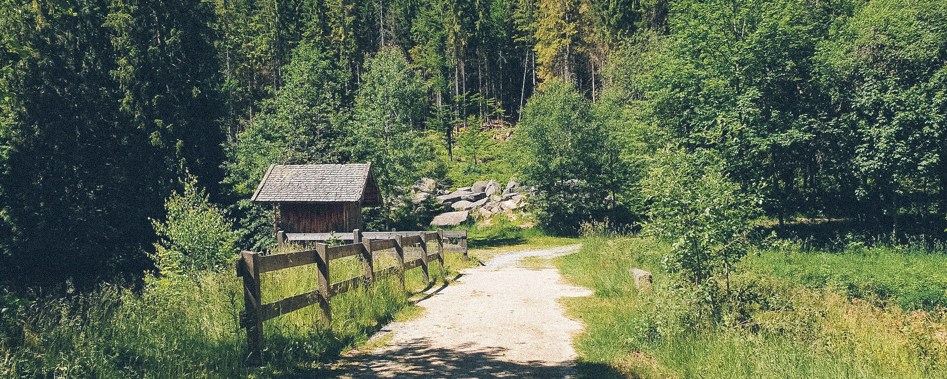 Neben einem Weg der durch den Wald geht, steht eine Scheuen aus Holz und ein Weidezaun für Tiere.