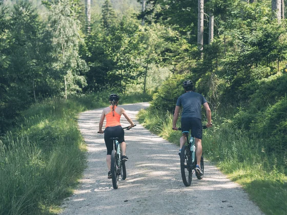 Zwei Radfahrer fahren auf einem Waldweg umgeben von Bäumen