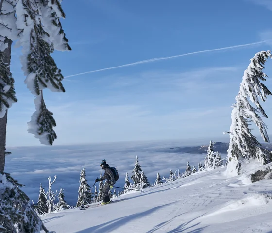 Skifahrer auf schneebedecktem Berg mit vereisten Bäumen und blauem Himmel