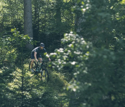 Mann fährt Mountainbike auf einem Waldweg im sonnigen Wald