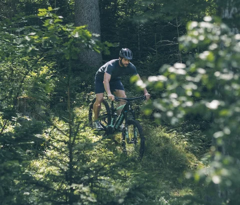 Mann fährt Mountainbike auf einem Waldweg im sonnigen Wald