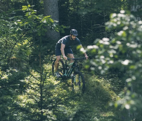 Man riding a mountain bike on a forest trail in the sunny woods