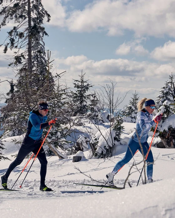 Zwei Langläufer in Winterkleidung gleiten durch verschneite Landschaft mit Tannenbäumen