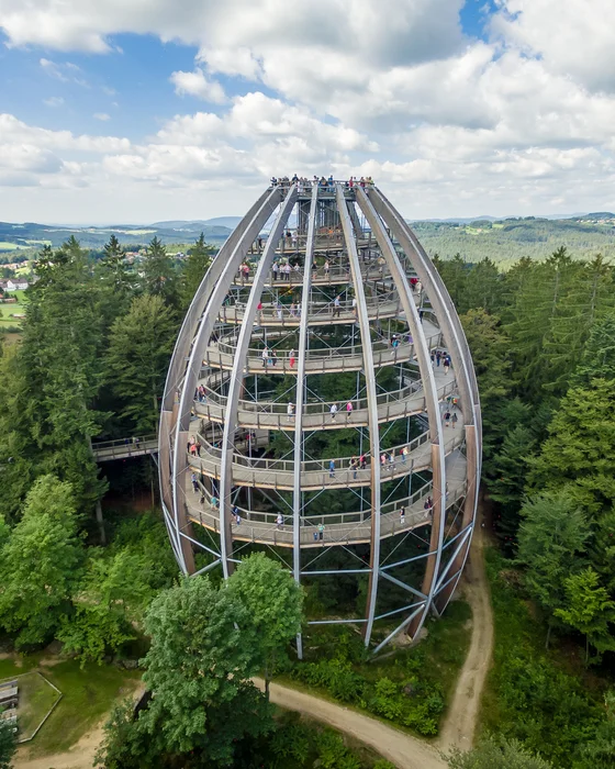 Aussichtsturm in Eiform mit Besuchern im Wald und Landschaft im Hintergrund