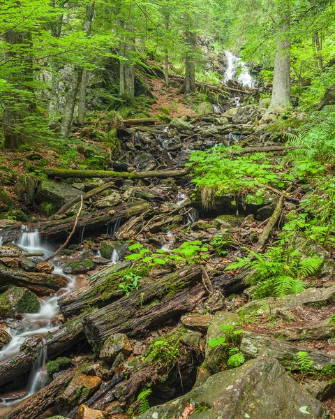 Wald mit kleinem Wasserfall, Bach und Wanderweg mit Wegweiser