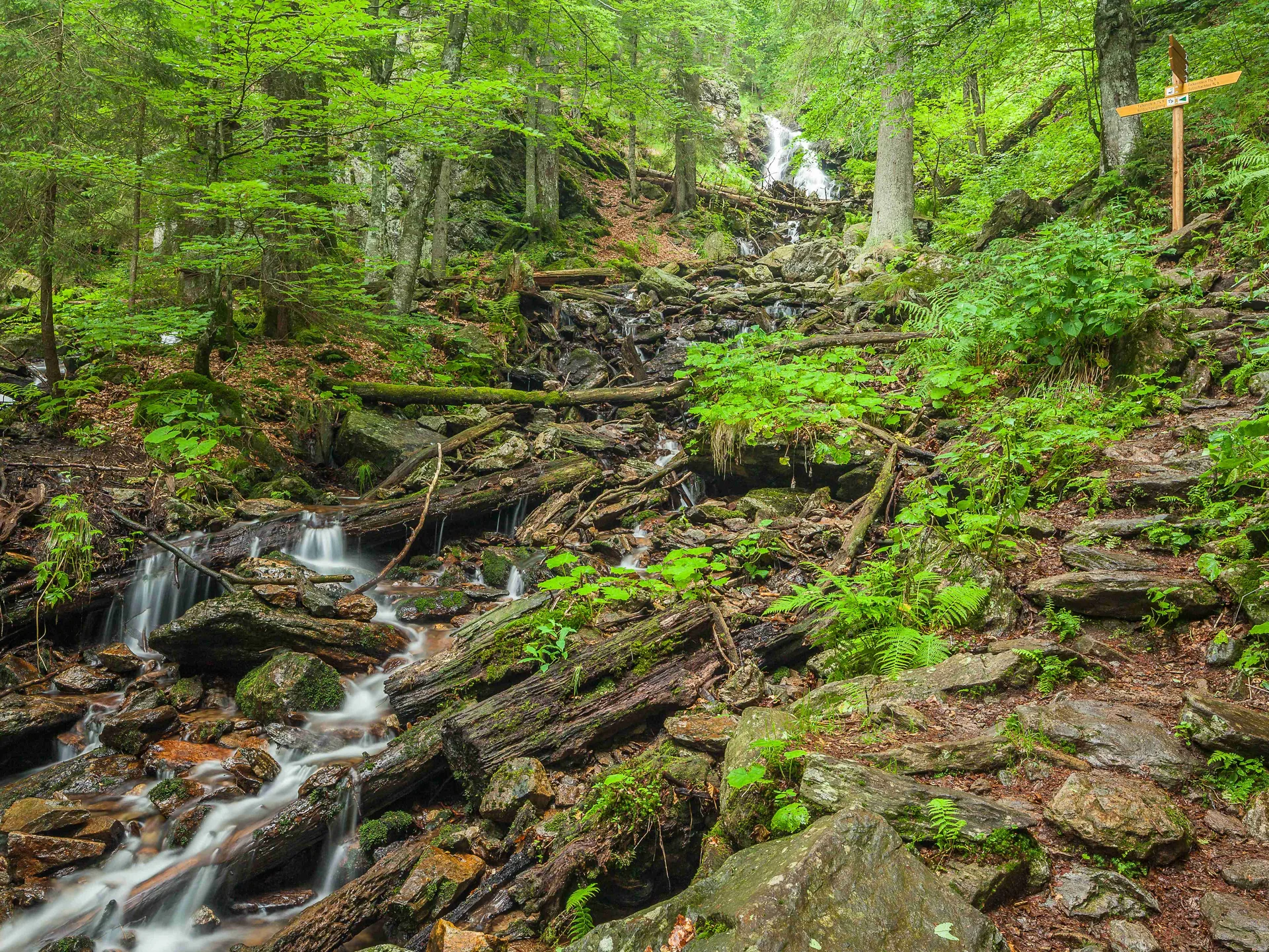 Wald mit kleinem Wasserfall, Bach und Wanderweg mit Wegweiser