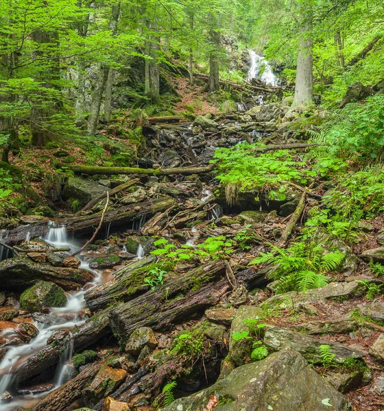 Wald mit kleinem Wasserfall, Bach und Wanderweg mit Wegweiser