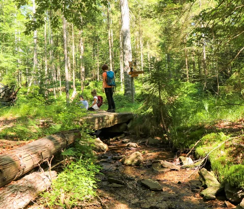 Drei Wanderer mit Rucksäcken auf einer Holzbrücke über einen Bach im Wald