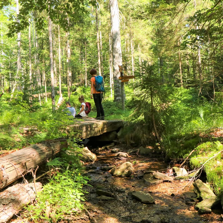 Drei Wanderer mit Rucksäcken auf einer Holzbrücke über einen Bach im Wald