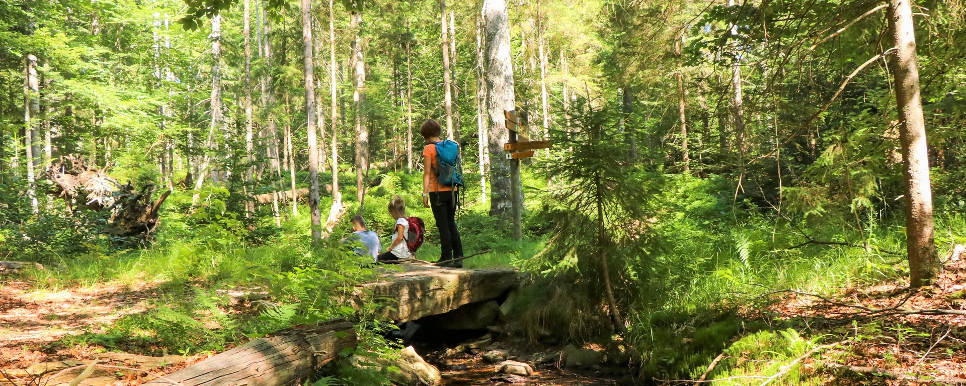 Drei Wanderer mit Rucksäcken auf einer Holzbrücke über einen Bach im Wald