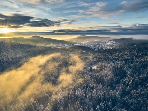 Sonnenaufgang über verschneitem Wald und Nebel im Tal