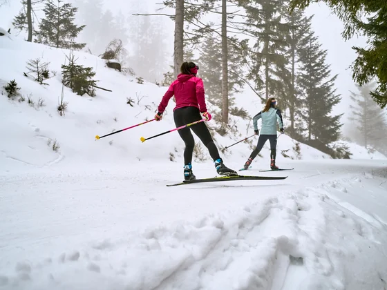 Zwei Frauen beim Langlaufen auf verschneitem Waldweg im Winter