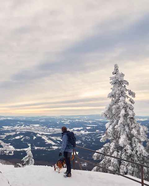 Person mit Hund blickt auf verschneite Landschaft neben Kreuz auf Berggipfel