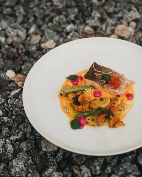 Gourmetgericht mit Fischfilet, Gemüse und Sauce auf weißem Teller auf Kiesboden