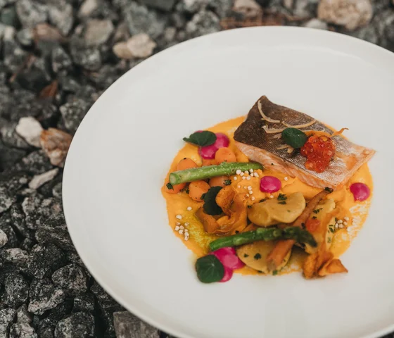 Gourmetgericht mit Fischfilet, Gemüse und Sauce auf weißem Teller auf Kiesboden