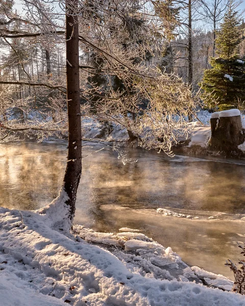 Winterlandschaft mit schneebedecktem Fluss und dampfendem Wasser im Wald