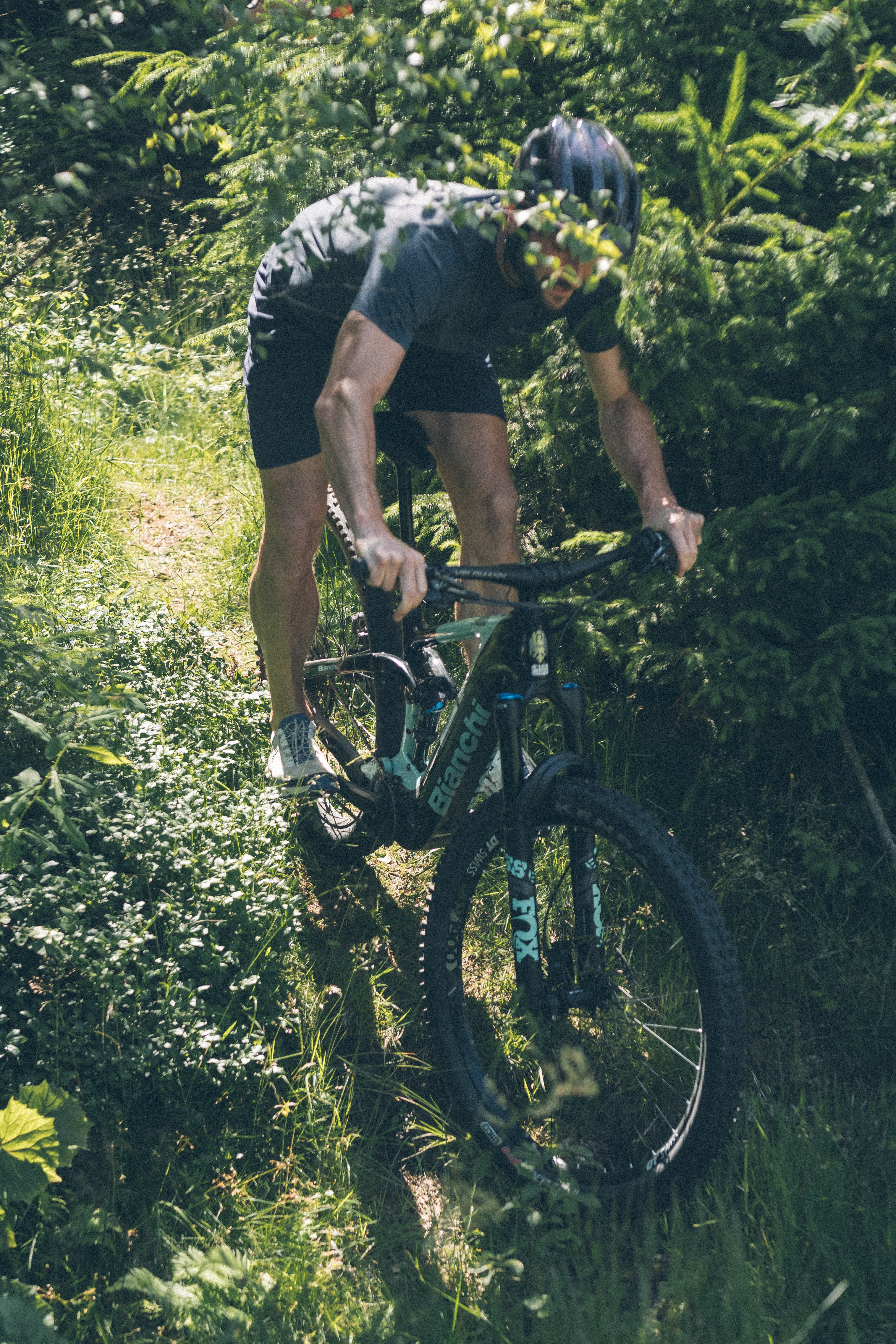 Mann fährt Mountainbike auf schmalem Waldweg im Grünen