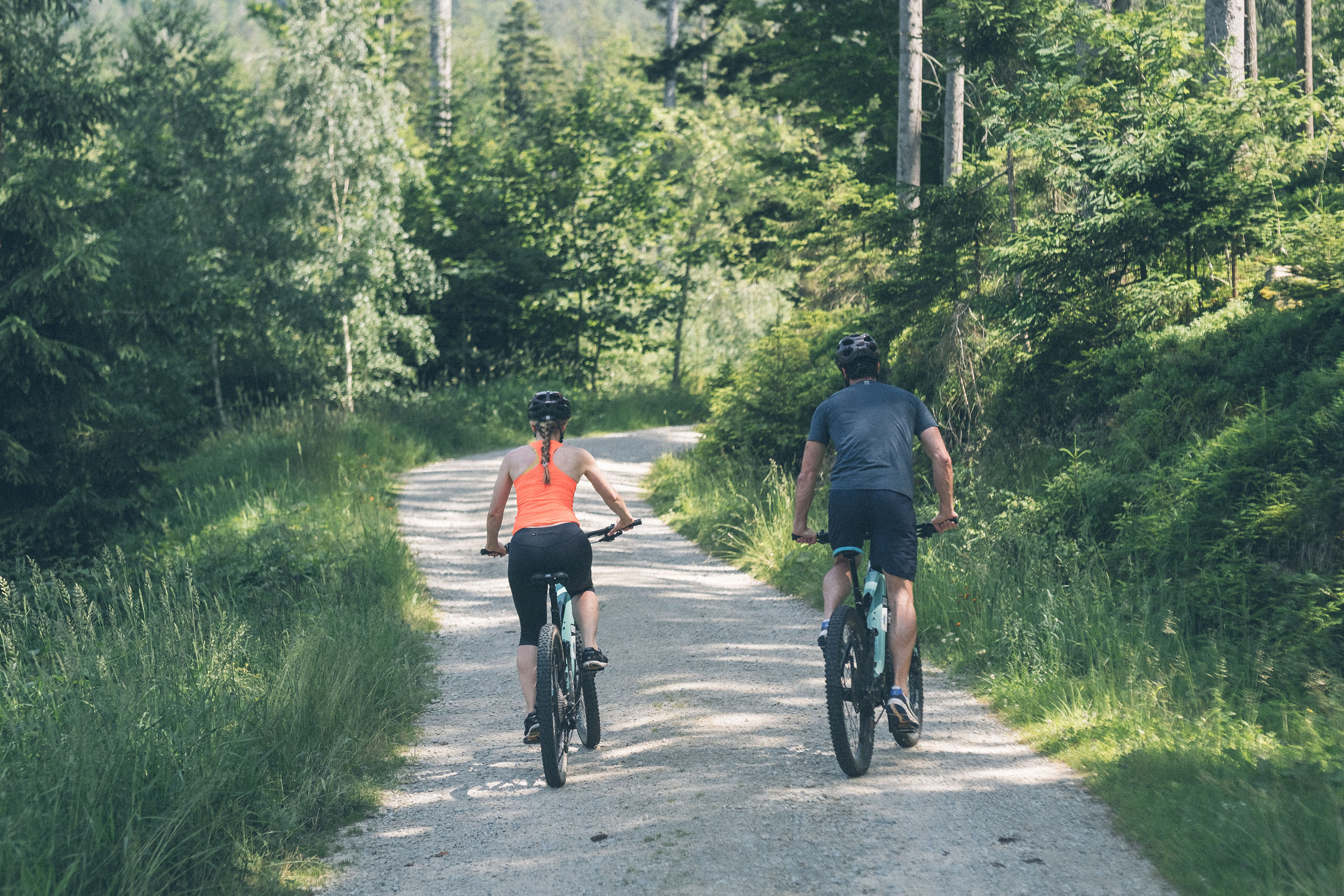Zwei Radfahrer fahren auf einem Waldweg umgeben von Bäumen